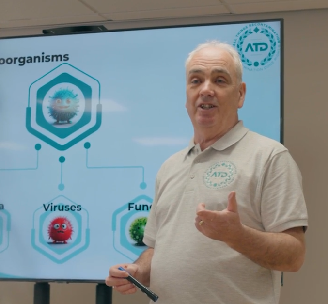marketing collaborations